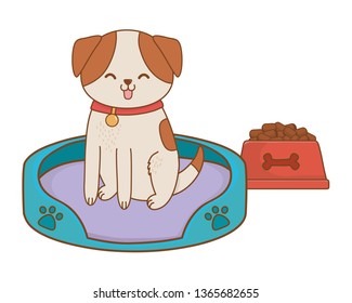 cute funny pet cartoon