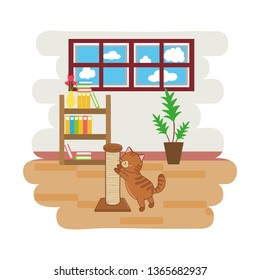 cute funny pet cartoon