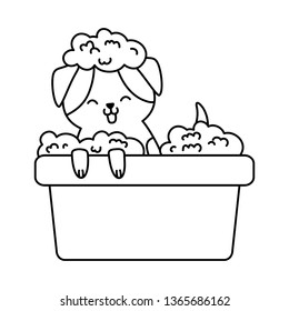 cute funny pet cartoon