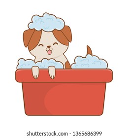 cute funny pet cartoon