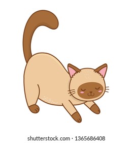 cute funny pet cartoon