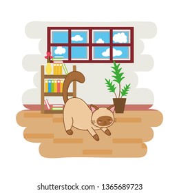 cute funny pet cartoon