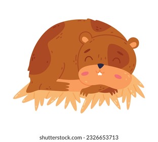 Cute funny pet hamster sleeping on straw cartoon vector illustration