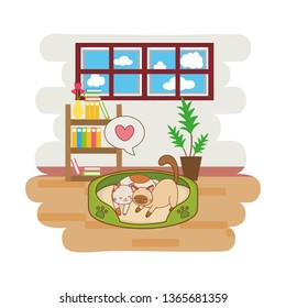 cute funny pets cartoon