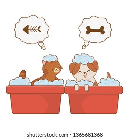 cute funny pets cartoon