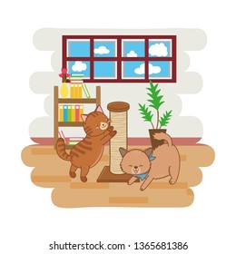 cute funny pets cartoon