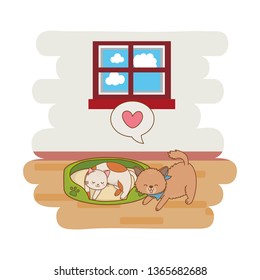 cute funny pets cartoon