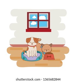 cute funny pets cartoon