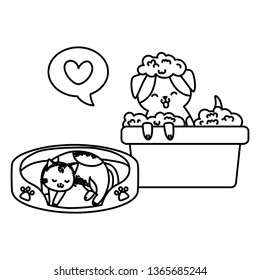 cute funny pets cartoon