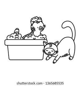 cute funny pets cartoon