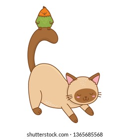 cute funny pets cartoon