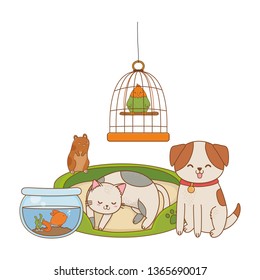 cute funny pets cartoon