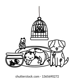 cute funny pets cartoon