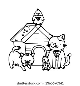 cute funny pets cartoon