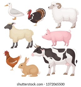 Cute, funny pets. Large and medium animals. Agricultural meat farmers market. Pets: turkey, duck, sheep, ram, pig chicken cow rabbit Cartoon vector illustration isolated