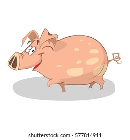 Cute funny pig