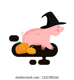 A cute funny pink pig in flat design. Piggy in witch hat walking in the autumn. Two big pumpkins. A piglet is a symbol of 2019. Hand drawn vector illustration