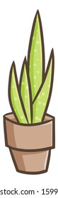 Cute and funny plant in pot for your interior decoration