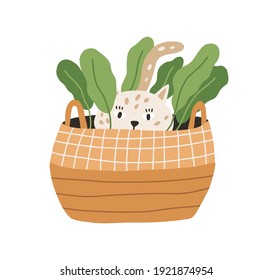 Cute and funny playful cat hiding in wicker basket with plant. Adorable kitty playing and lurking. Hand-drawn colored flat vector illustration isolated on white background