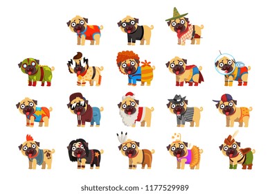 Cute funny pug dog character in colorful funny costumes set, vector Illustrations