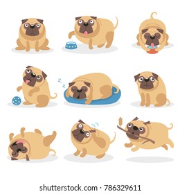 Cute funny pug dog set, dog in different poses and situations cartoon vector Illustrations