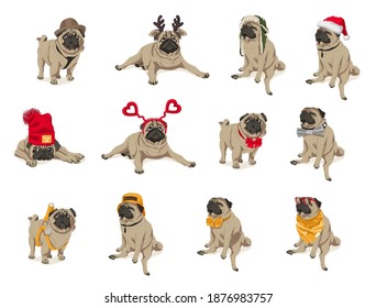 Feine, lustige Pug-Hunde-Set. Adorable, freundliche, reinrassige Haustiere mit angesagten Kleidern und Accessoires Cartoon, Vektorgrafik einzeln auf weißem Hintergrund