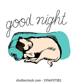 Cute funny pug  sleeps on sofa. Good night. Cartoon character isolated on a white background. For printing kids stickers, cards. Can be used as mascot.