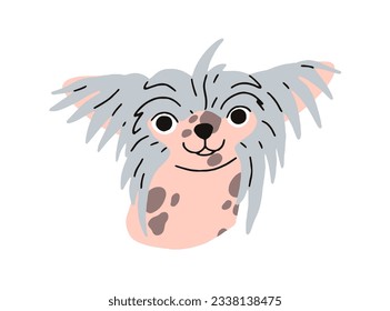 Cute funny puppy head of Chinese crested dog breed. Little amusing pup portrait. Small hairless doggy face. Canine animal, comic muzzle avatar. Flat vector illustration isolated on white background