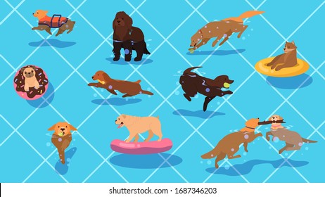 Cute funny purebred dog in the pool set. Dog in swimming pool with inflatable ring and ball. Dogs having fun in the water. Vector illustration in cartoon style