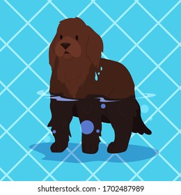 Cute funny purebred dog in the pool. Animal in swimming pool. Puppy having fun in the water. Vector illustration in cartoon style