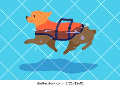Cute funny purebred dog in the pool. Animal in swimming pool. Puppy having fun in the water. Vector illustration in cartoon style