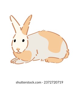 Cute funny rabbit on white background