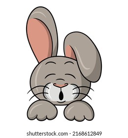 Cute Funny rabbit with pink ears is sleeping, vector illustration in cartoon style on a white background
