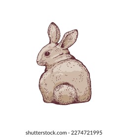 Cute and funny rabbit sitting, hand drawn sketch vector illustration isolated on white background. Furry animal drawing with engraving texture. Concepts of nature and wildlife.