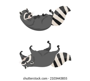 Cute funny raccoons front and side view set. Wild furry forest animal lying on its back cartoon vector illustration