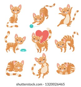 Cute Funny Red Cat Character in Various Poses and Situations Set Vector Illustration