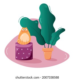 Un gracioso gato rojo en un puf con una planta pulida y fondo rosado