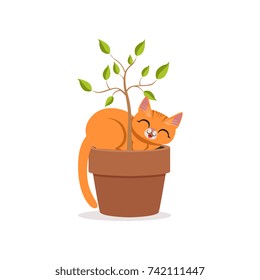 Cute funny red cat sleeping in a flower pot with a plant, home pet resting cartoon vector Illustration
