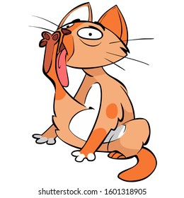 Cute funny red cat surprised licking his hind leg with his tongue