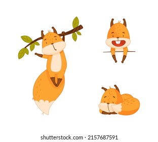 Cute funny red squirrel in different actions set cartoon vector illustration