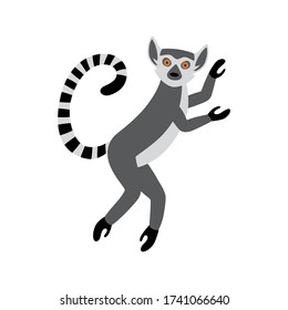 Cute funny ring-tailed lemur jumps. Exotic Lemur catta. Vector illustration in cartoon and flat style isolated on white background