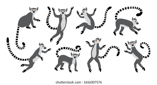 3,282 Happy Lemur Images, Stock Photos & Vectors | Shutterstock