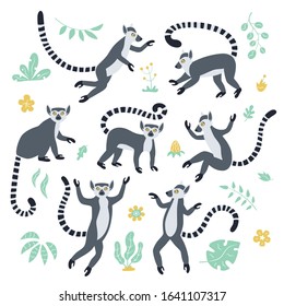 Cute funny ring-tailed lemurs and tropical plants. Exotic Lemur catta. Set of vector illustrations in cartoon and flat style isolated on white background
