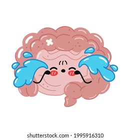 Cute funny sad cry sick intestine organ character. Vector hand drawn cartoon kawaii character illustration icon. Isolated on white background. Human intestine unhealthy organ,cartoon character concept