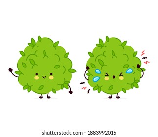 Cute funny and sad marijuana weed bud character. Vector flat line cartoon kawaii character illustration icon. Isolated on white background. Weed face character mascot concept