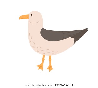 Cute and funny seagull isolated on white background. Side view of sea bird called gull with gray folded wings. Colored vector illustration in flat cartoon style