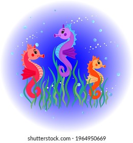 Cute funny seahorses. Baby vector illustration.