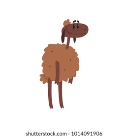 Cute funny sheep character cartoon vector illustration