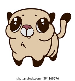 Cute funny siamese cat