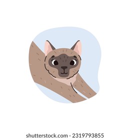 Cute funny Siamese cat flat style, vector illustration isolated on white background. Decorative design element, cat breed, furry pet, smiling domestic animal